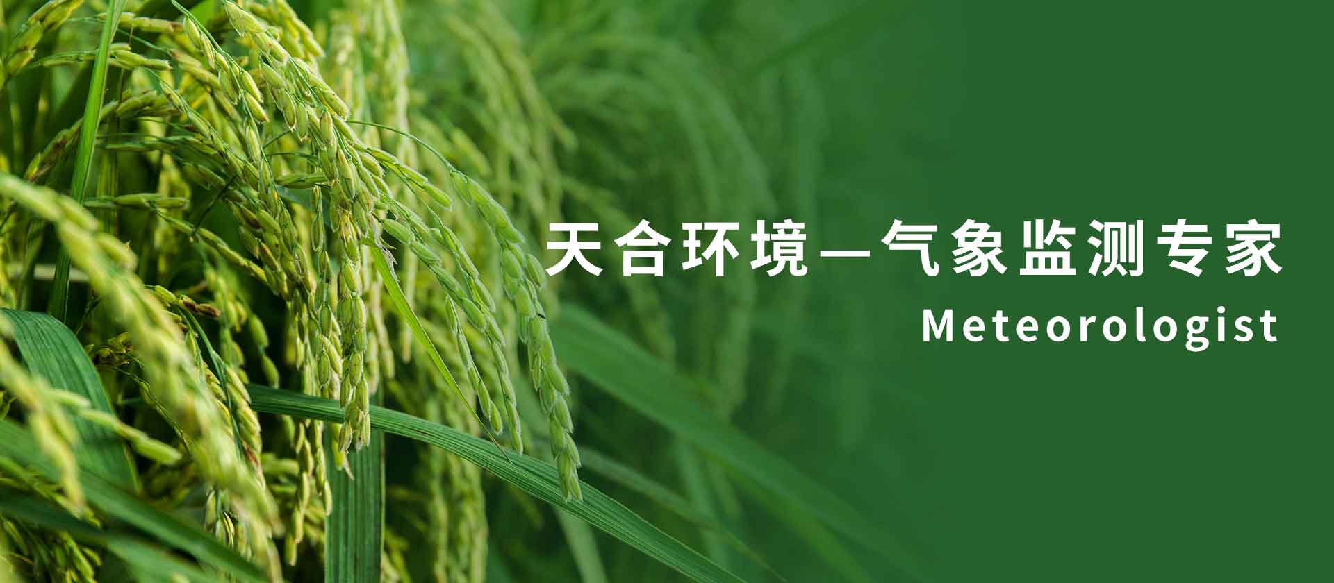 农业气象站-山东新利官网登录科技